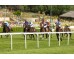  Carrera: P.Rheffissimo Caballo: Scholarship Monta: R.Sousa
